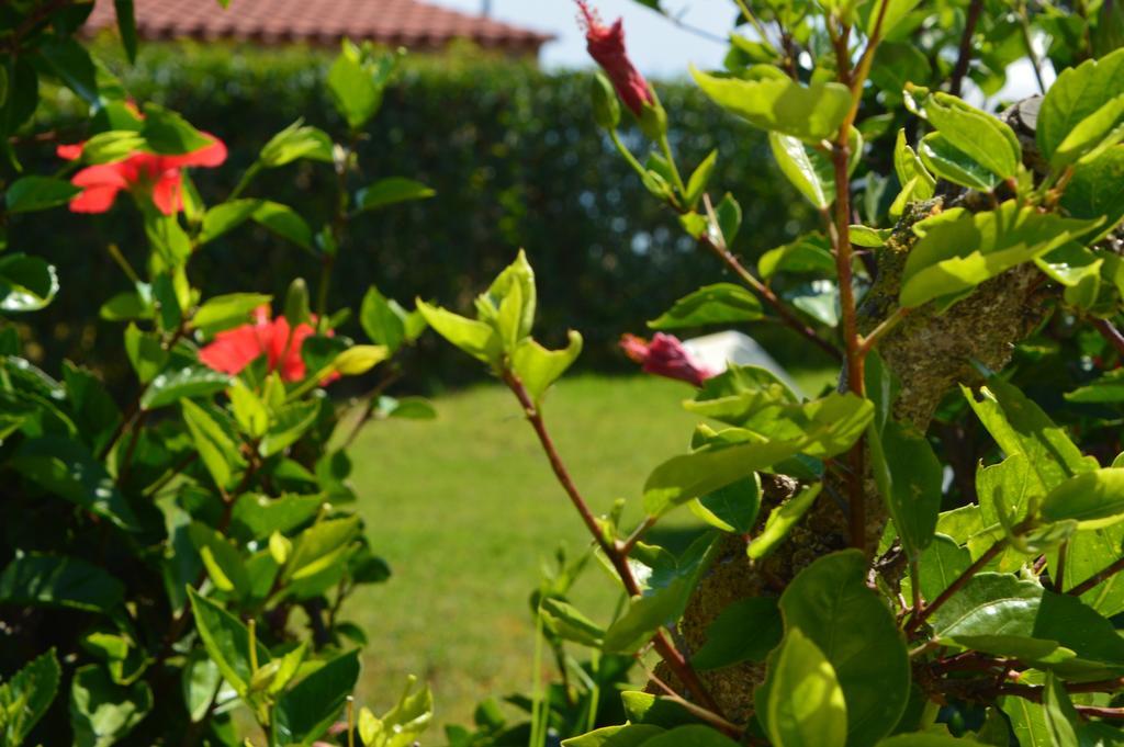 Beach Bungalows Kypseli Exterior foto